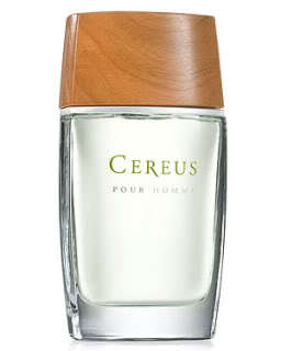 Cereus №5