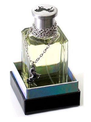 Eclectic Collections Black Stallion