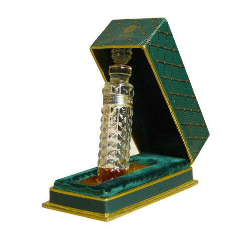 Novaya Zarya Вечер