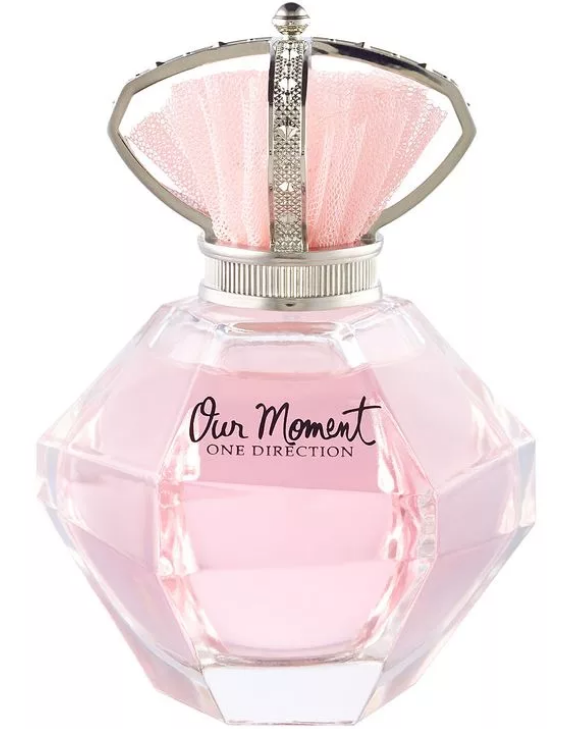 One Direction Our Moment