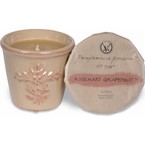 Votivo Ароматическая свеча Розмарин и грейпфрут