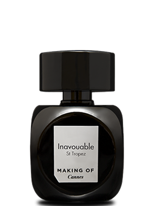 Making of Cannes Inavouable