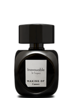 Making of Cannes Inavouable