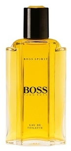 Hugo Boss Spirit