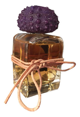 Mendittorosa Sogno Reale