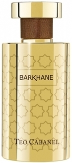 Teo Cabanel Barkhane