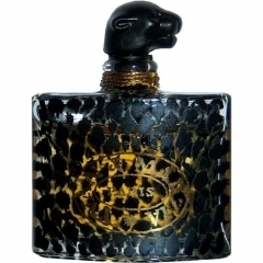 Yvan & Marzia for Women