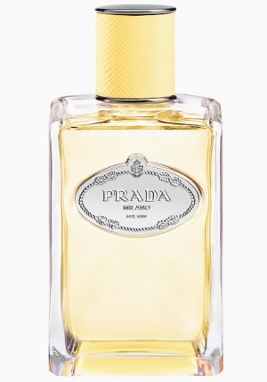 Prada Infusion de Mimosa