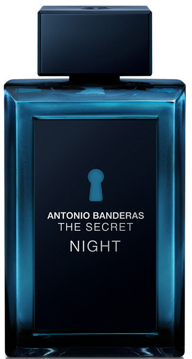 Banderas The Secret Night