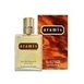 Aramis Pour Homme