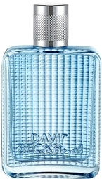 David Beckham The Essence