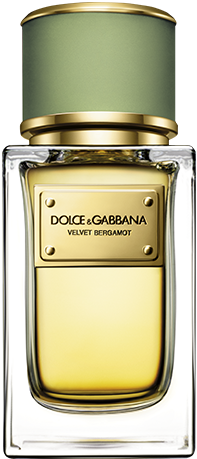 D&G Velvet Bergamot for men