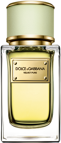 D&G Velvet Pure