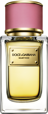 D&G Velvet Rose