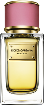 D&G Velvet Rose