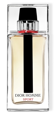 Christian Dior Homme Sport 2017
