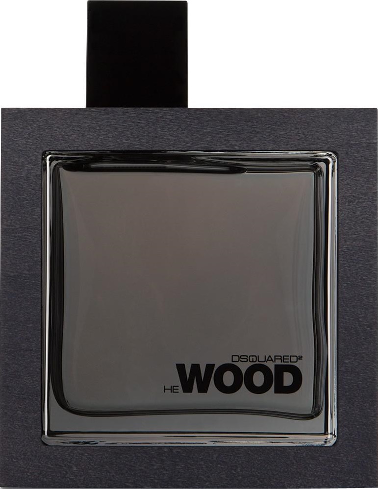 Dsquared2 He Wood Silver Wind Wood