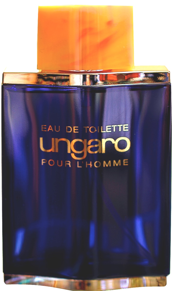 Emanuel Ungaro Ungaro pour L'Homme II