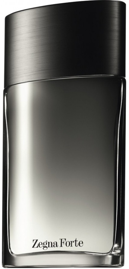 Ermenegildo Zegna Forte man