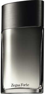 Ermenegildo Zegna Forte man