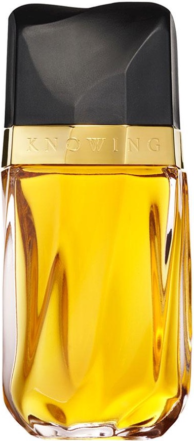 Estee Lauder Knowing
