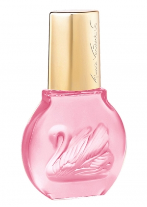 Vanderbilt Minuit a New York