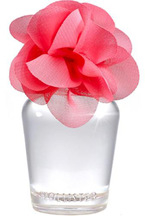 Hollister Addison Sunrise