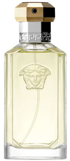 Versace Dreamer