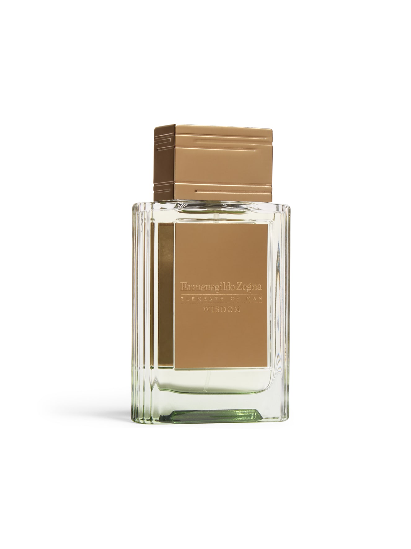 Ermenegildo Zegna Wisdom