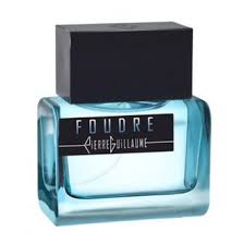 Pierre Guillaume Foudre