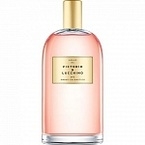 Victorio & Lucchino No 11 Ambar Enigmatico