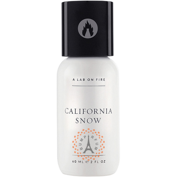 A Lab on Fire California Snow