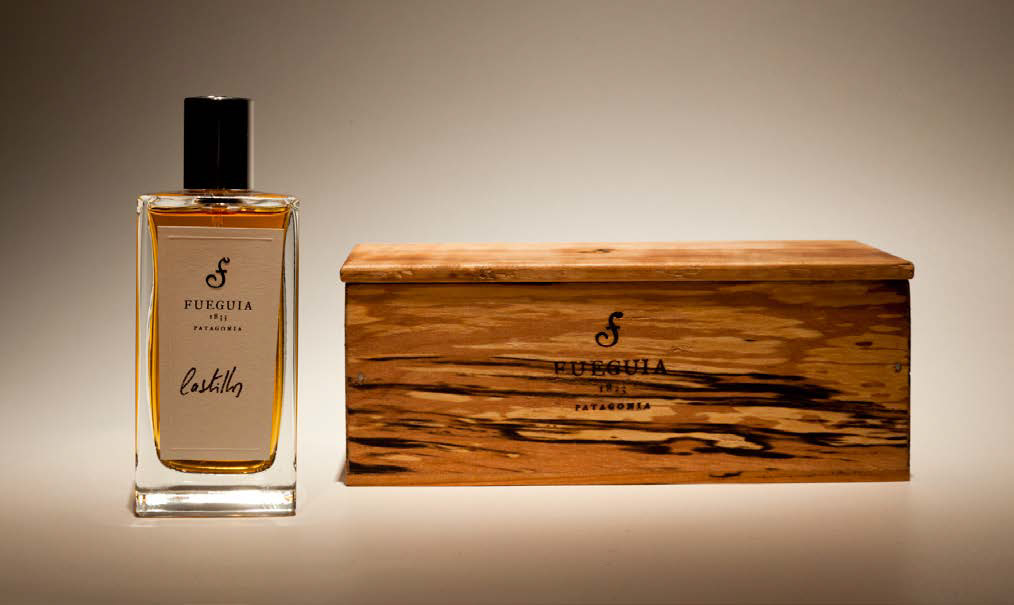 Fueguia 1833 Castillos