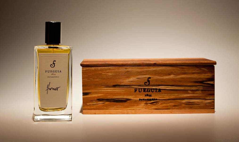 Fueguia 1833 Hornero