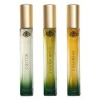 Luigi Borrelli Discovery