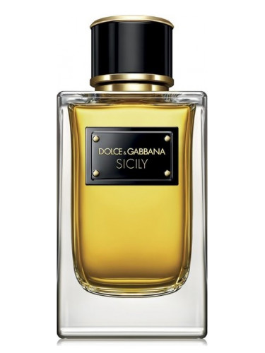 D&G Velvet Sicily
