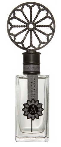 Angela Ciampagna Ducalis