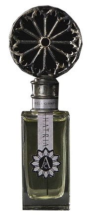 Angela Ciampagna Hatria