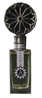 Angela Ciampagna Hatria