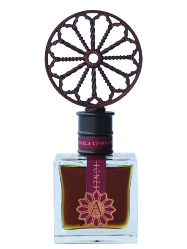 Angela Ciampagna Ignes