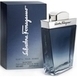 Salvatore Ferragamo Subtil for men