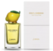 D&G Lemon