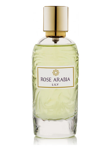 Aj Arabia Widian Rose Arabia Lily