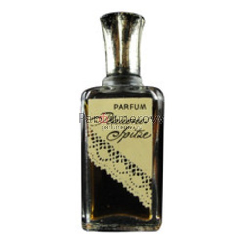 Dzintars Plauener Spitze