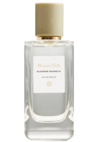 Massimo Dutti Blooming Magnolia