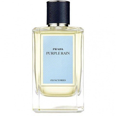 Prada Purple Rain