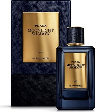 Prada Moonlight Shadow