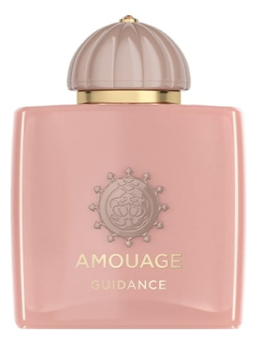 Amouage Guidance