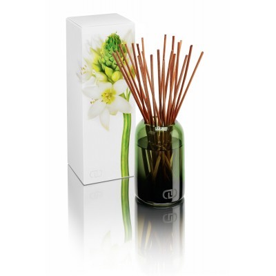 Dayna Decker Ароматический диффузор Зелия малый