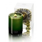 Dayna Decker Ароматическая свеча с деревянным фитилем Тайга